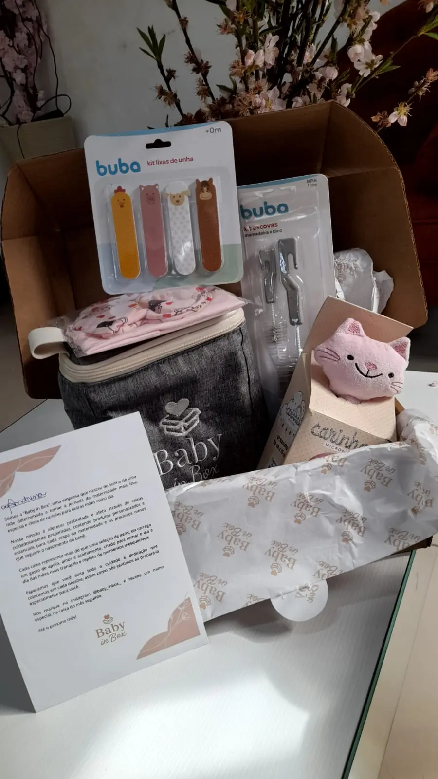 Unboxing de uma edição Baby in Box